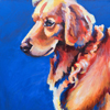 Apollo dog painting